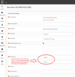 OpnSense DHCP Reservation DNS.png