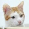 tonyc