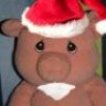 AngryPiglet