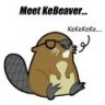 kebever