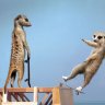 dodo89