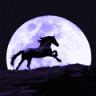 nightsteed