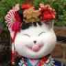miyamiya