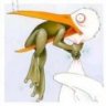 highdiver_2000