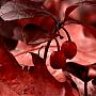 Mikiberry