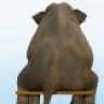 WoollyMammoth
