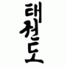 taekwondo16