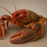 lobstercrab