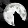 Lonewolf83