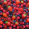 Berry72