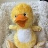 LaughingDuck