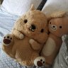 아지 and 아쁘리앙
