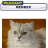 CRW