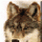 Wolfaro