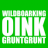 WildBoarKing