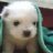 TedBoi