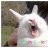 jizzbunny