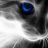 Soul Cat