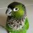 conure