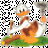 Shingoz
