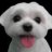PetDog