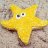 CookieStarfish