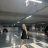 roses_are_rosie