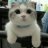 iamcat
