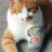 luckybigcat