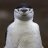 Newspaper Penguin