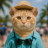 touristcat