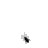 mahcosg